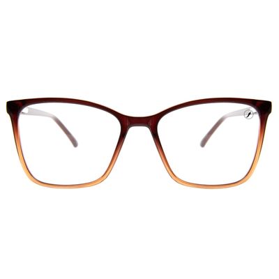 Armação Para Óculos de Grau Feminino Ótica Chilli Beans Clássicos Gatinho Marrom