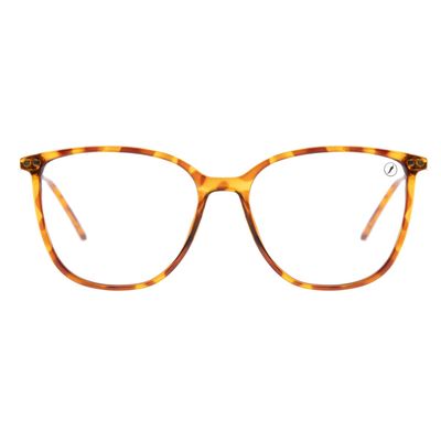 Armação Para Óculos De Grau Feminino Chilli Beans Multi Polarizado Degradê Marrom