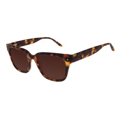 Óculos de Sol Feminino Ótica Chilli Beans Quadrado Casual Tartaruga
