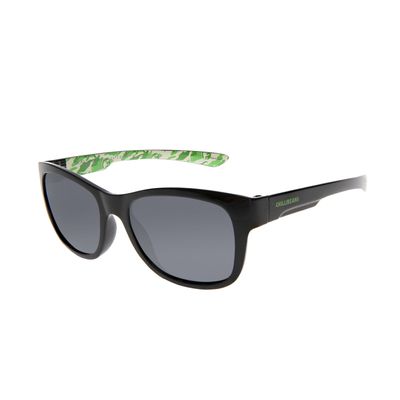 Óculos de Sol Infantil Unissex Jurassic Park Dinosaur Preto