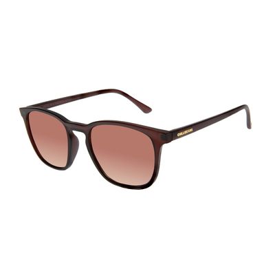 Óculos de Sol Feminino Chilli Beans Clássico Degradê Marrom