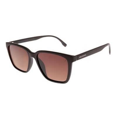 Óculos de Sol Masculino Chilli Beans Marrom Poli Casual