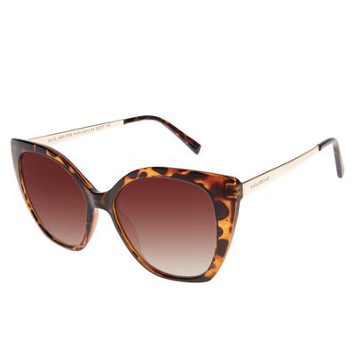 Óculos de Sol Feminino Chilli Beans Cat Tartaruga
