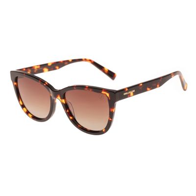 Óculos de Sol Feminino Chilli Beans Quadrado Polarizado Degradê Marrom