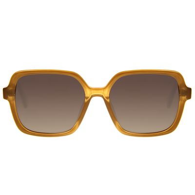 Óculos de Sol Feminino Harry Potter Sapo de Chocolate Marrom Brilho