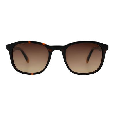 Óculos de Sol Masculino Volkswagen Redondo Polarizado Tartaruga