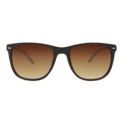 Óculos de Sol Masculino Chilli Beans Bossa Nova Degradê Marrom