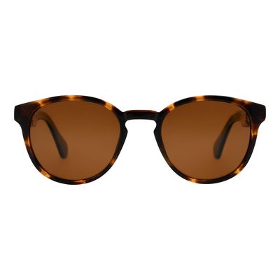 Óculos de Sol Unissex Harry Potter Polarizado Tartaruga