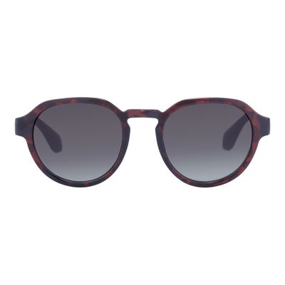 Óculos de Sol Feminino Havaianas Redondo Tartaruga