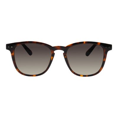 Óculos de Sol Masculino Chilli Beans Bossa Nova Degradê Verde