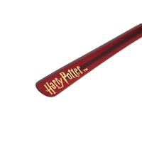 Óculos de Sol Unissex Harry Potter Hogwarts Express Redondo Vinho OC.CL.3378-0217.7
