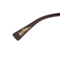 Óculos de Sol Unissex Harry Potter Varinha do Harry Potter Degradê Marrom Flap Polarizado OC.MT.3164-5721.6