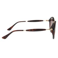 Óculos de Sol Unissex Chilli Beans Essential Redondo Tartaruga OC.CL.3260-5706.3