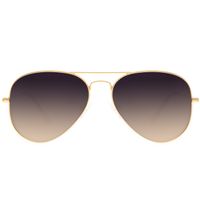 Óculos de Sol Unissex Chilli Beans Aviador Dourado OC.MT.3239-2121.1