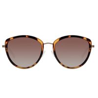 óculos de sol feminino chilli beans cat tartaruga oc.mt.3662.5706