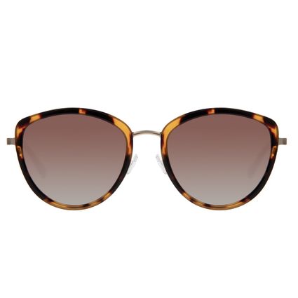 óculos de sol feminino chilli beans cat tartaruga oc.mt.3662.5706