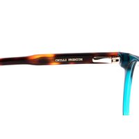 LV.AC.0907-1502-Armacao-Para-Oculos-de-Grau-Unissex-Premium-Chilli-Beans-Redondo-Verde--4-