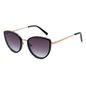 OC.MT.4086-2002-Oculos-de-Sol-Feminino-Chilli-Beans-Redondo-Degrade-Marrom