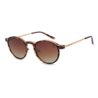 LV.MU.1366-2006.1-Armacao-Para-Oculos-de-Grau-Unissex-Chilli-Beans-Multi-Polarizada-Degrade-Tartaruga--5-