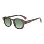 OC.CL.5674-8202.1-Oculos-de-Sol-Masculino-Chilli-Beans-Redondo-Degrade-Verde--4-