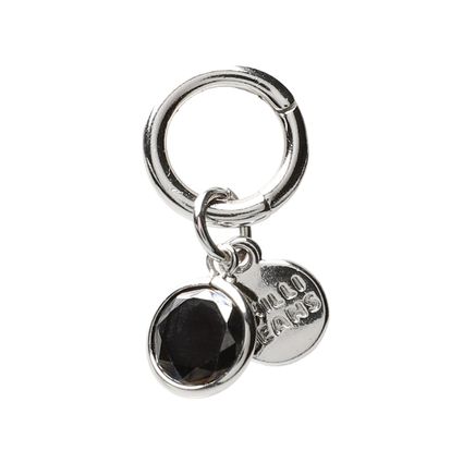 AC.LI.1143.0707-Berloque-Chilli-Beans-Charms-Prata--2-